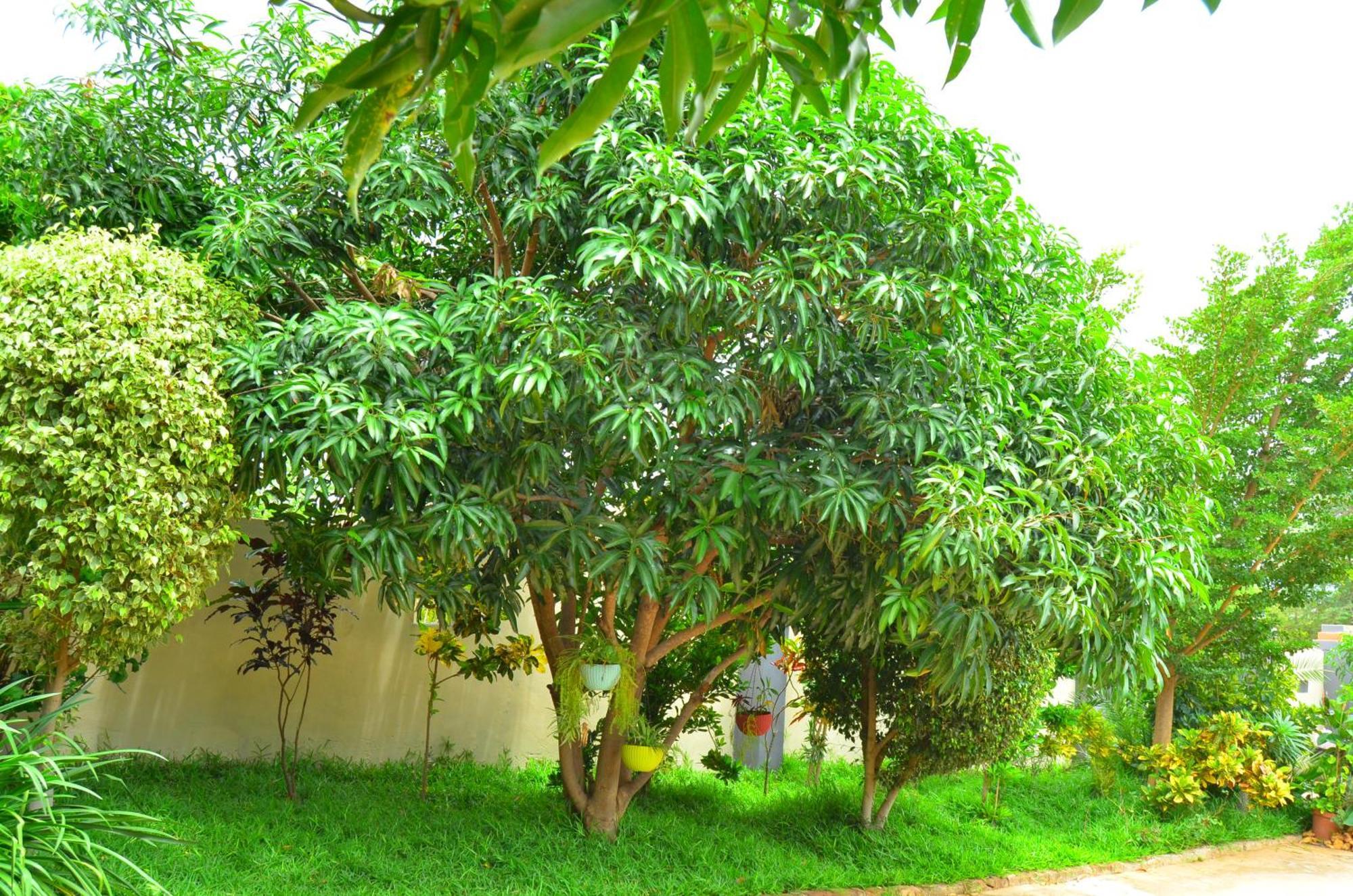 Chobe Kulotu Guest House Kasane Exterior foto